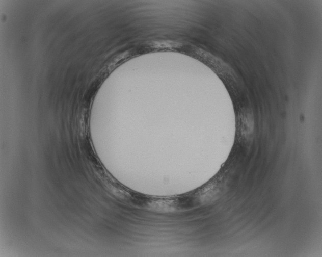 X0000081450422200702092254