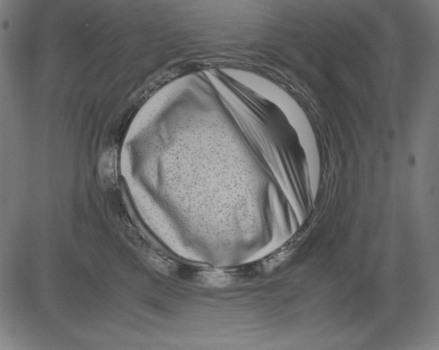 X0000081450425200702092254