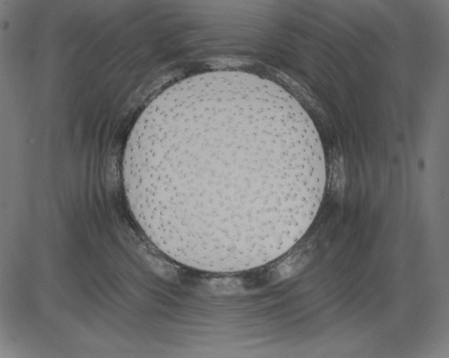 X0000081450426200702092254