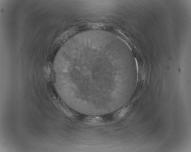 X0000081450427200702092254