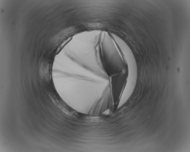X0000081450428200702092254