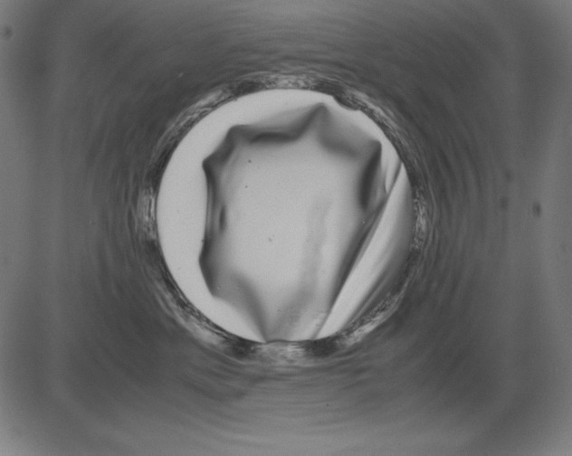 X0000081450429200702092254