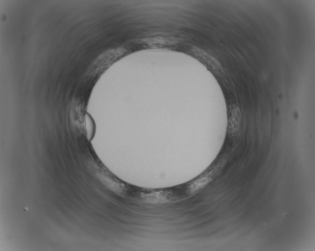 X0000081450430200702092254