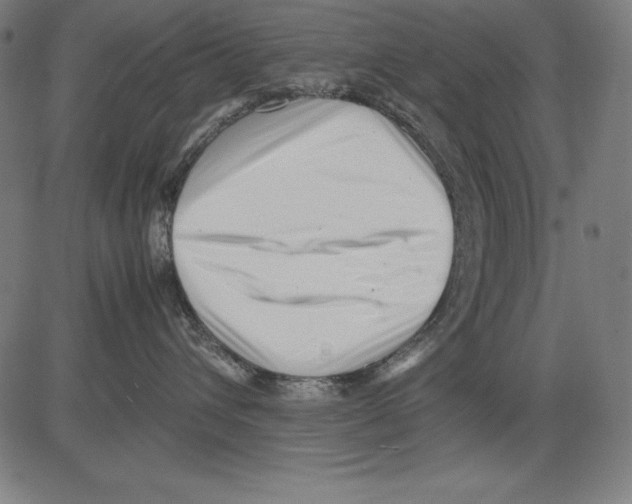 X0000081450432200702092254