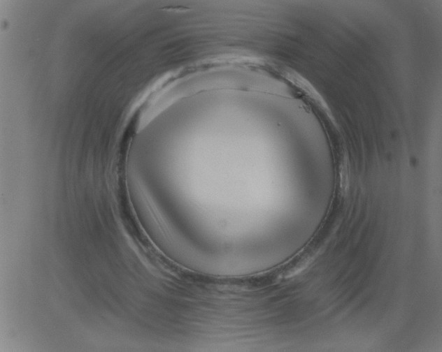 X0000081450436200702092253