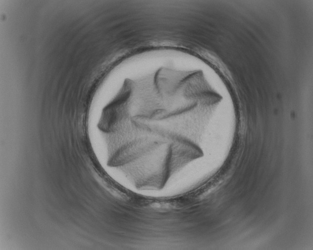 X0000081450441200702092254