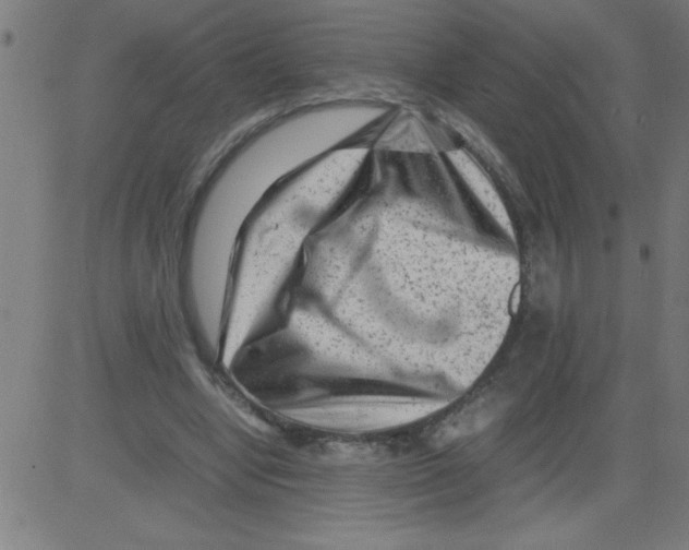 X0000081450442200702092254