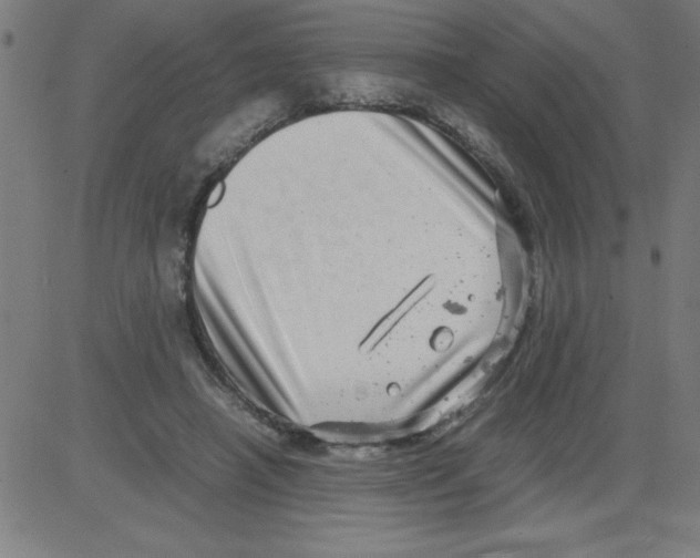 X0000081450450200702092254
