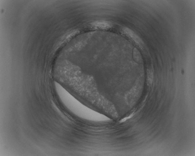 X0000081450451200702092254