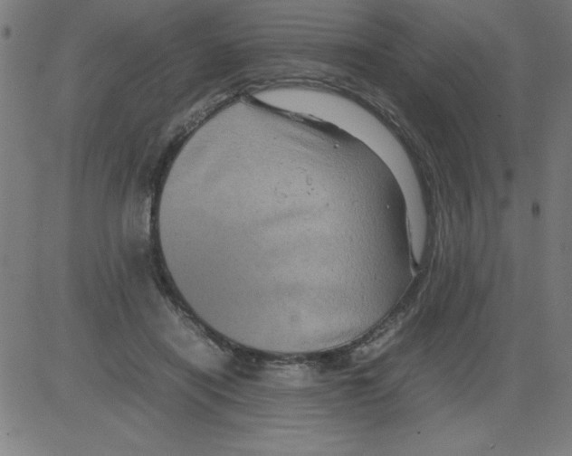X0000081450454200702092254