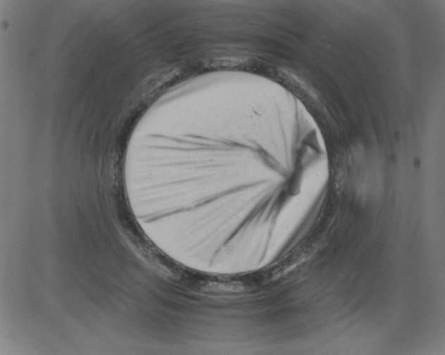 X0000081450455200702092254