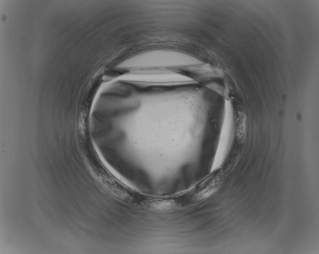 X0000081450456200702092254