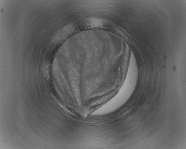 X0000081450462200702092254