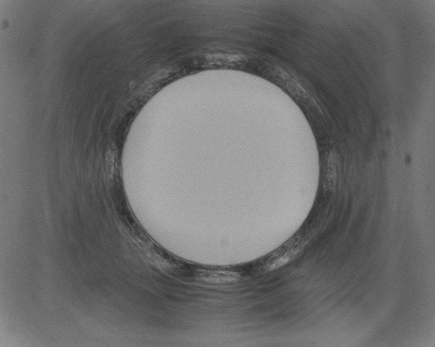 X0000081450463200702092254