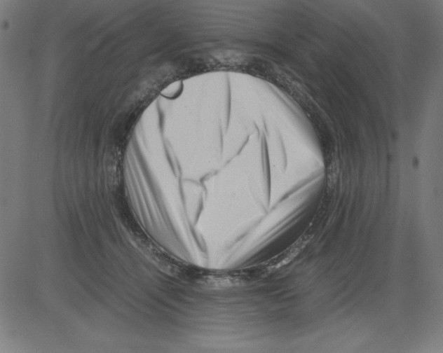 X0000081450464200702092254