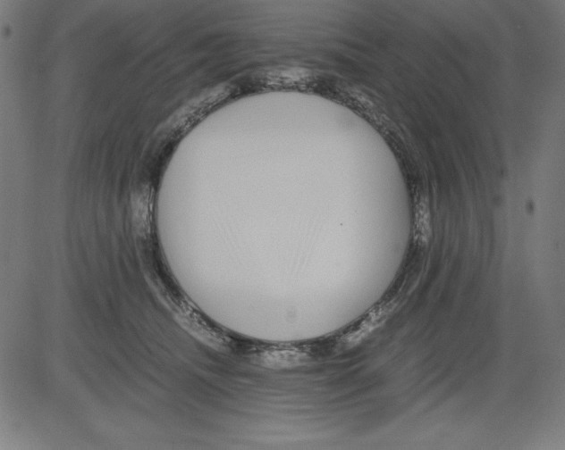 X0000081450468200702092254