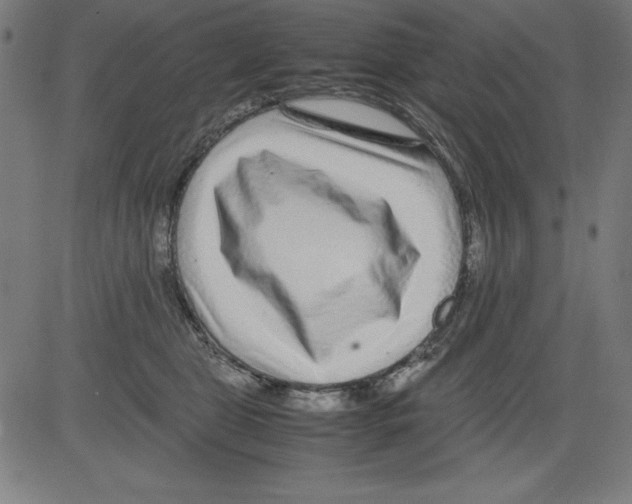 X0000081450469200702092254