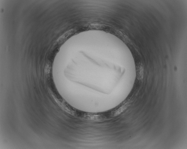 X0000081450472200702092254
