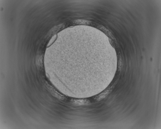 X0000081450473200702092254