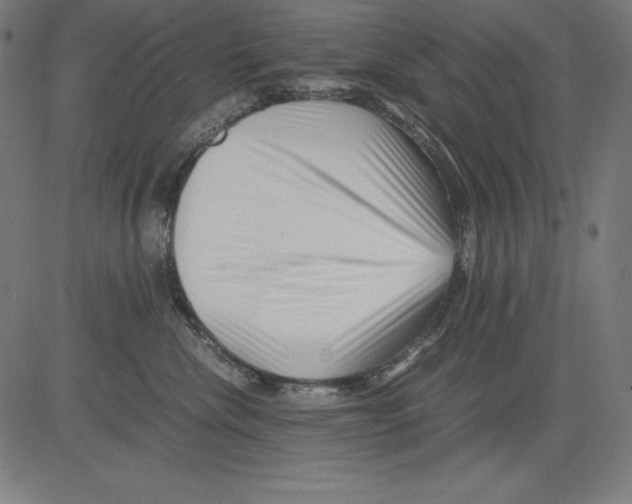 X0000081450476200702092254
