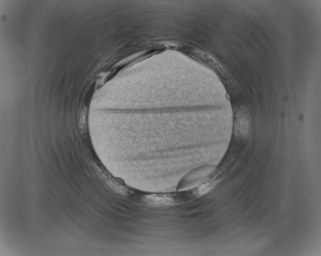 X0000081450477200702092254