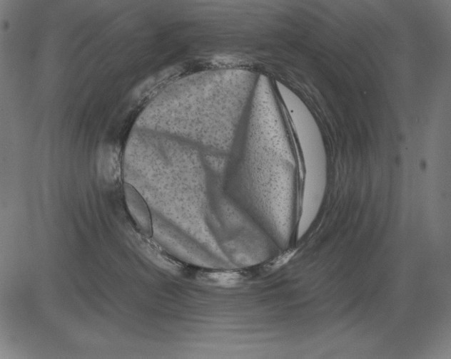 X0000081450478200702092254