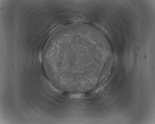 X0000081450479200702092254