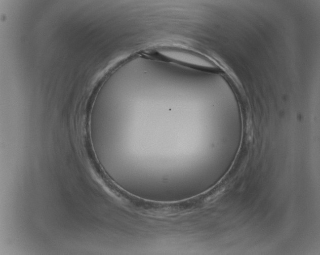 X0000081450485200702092253