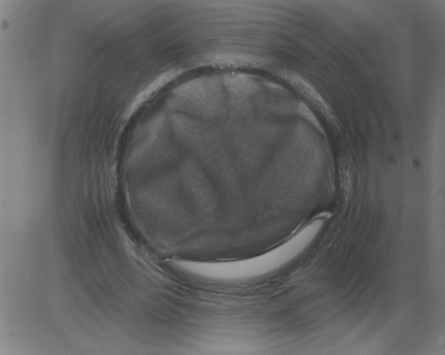 X0000081450488200702092253