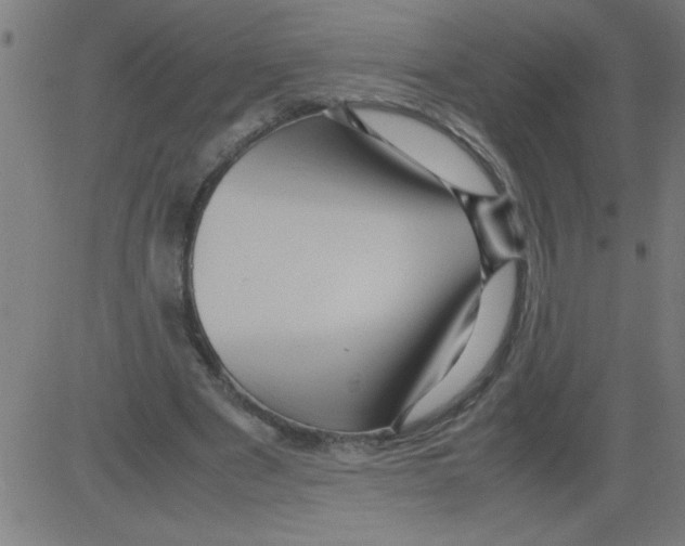 X0000081450489200702092253
