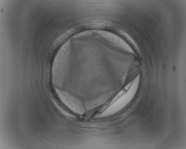 X0000081450493200702092253