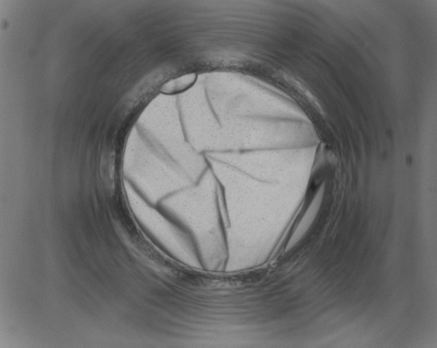 X0000081450494200702092253