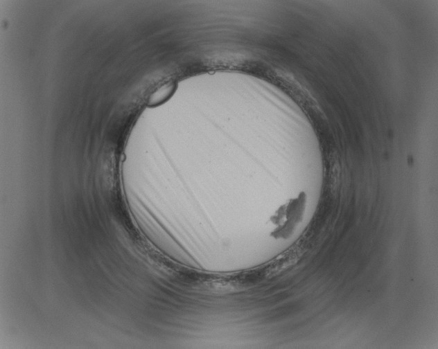 X0000081450498200702092253