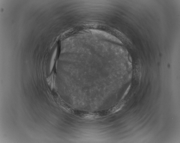 X0000081450504200702092253