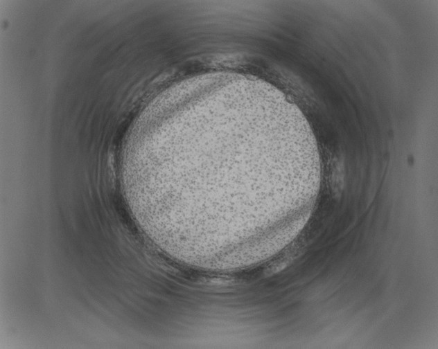 X0000081450506200702092253