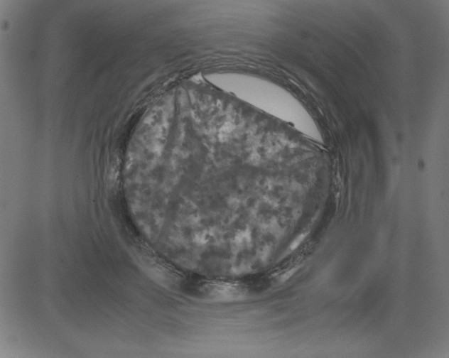 X0000081450507200702092253