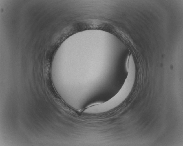 X0000081450509200702092253