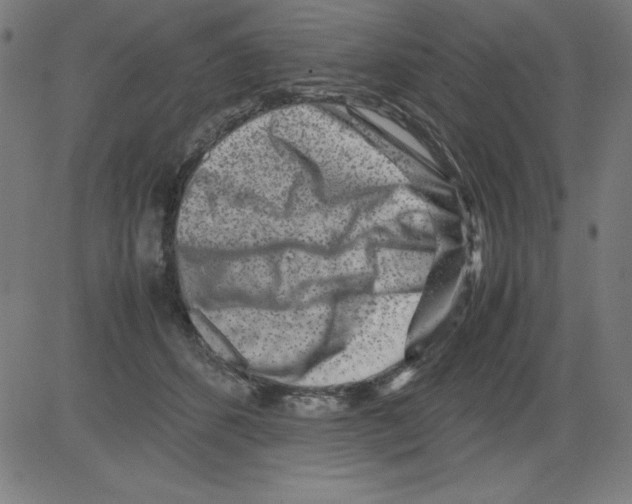 X0000081450512200702092253