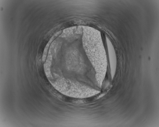 X0000081450513200702092253