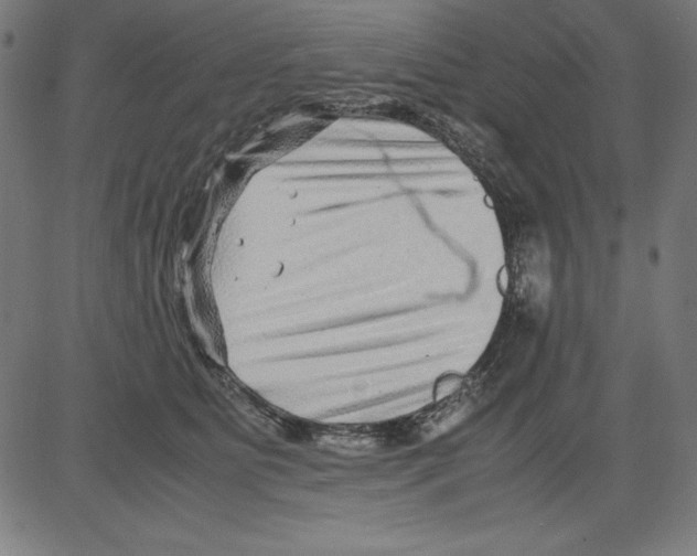 X0000081450515200702092253