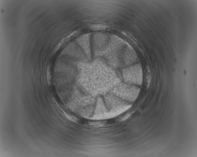 X0000081450516200702092253