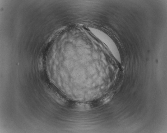 X0000081450520200702092253