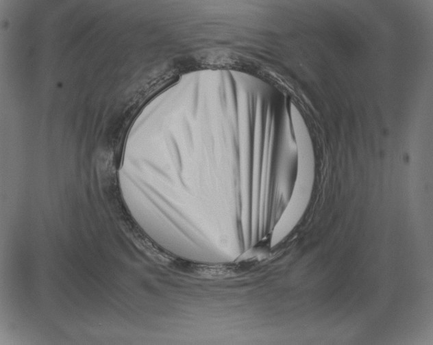 X0000081450521200702092253