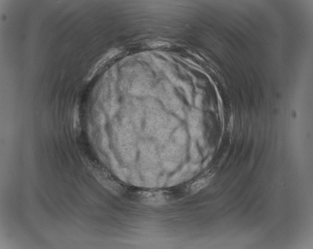 X0000081450524200702092253