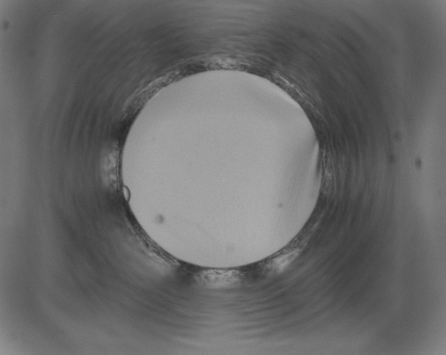X0000081450526200702092253