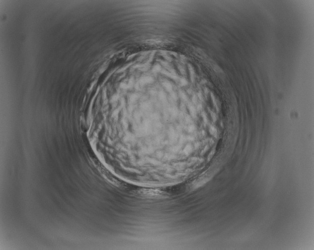 X0000081450528200702092253