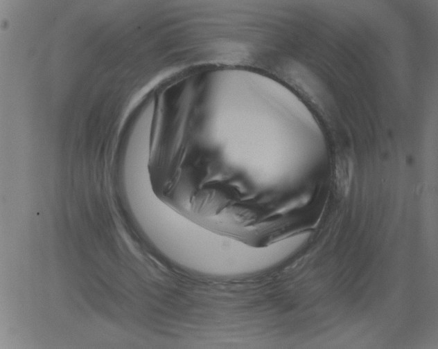 X0000081450532200702092252