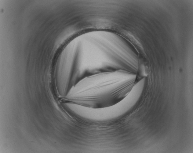 X0000081450536200702092252