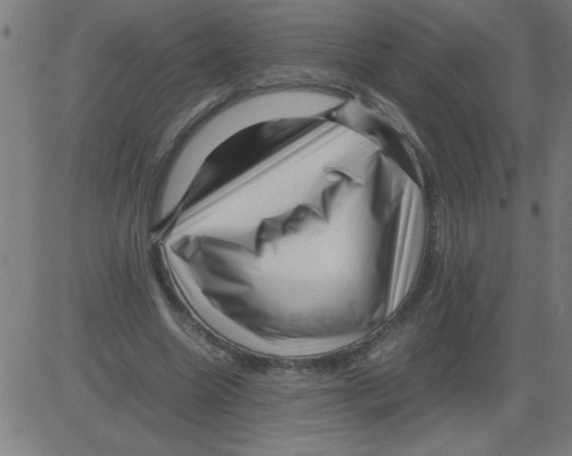 X0000081450538200702092252
