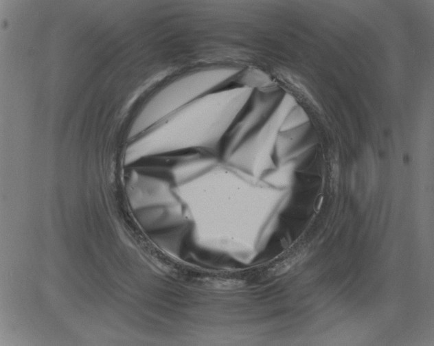 X0000081450539200702092252